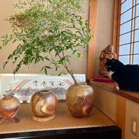 ナンテン,床の間,植物のある暮らし,ニャンニャン祭り,にゃんにゃん祭りの画像