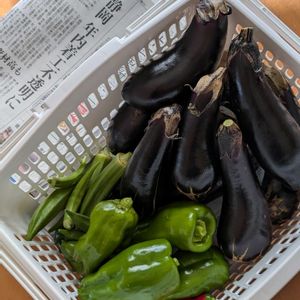 ミニトマト,茄子,韓国唐辛子,ジャンボピーマン,今日の収穫の画像