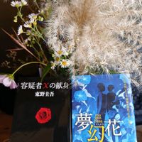 キク,コスモス,ススキ,リンドウ,姫ひまわりの画像