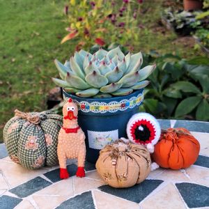 エケベリア,多肉植物,リメ鉢,ハロウィン,繋がりに感謝✨の画像