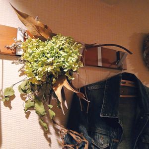 スワッグ,癒される,花のある暮らし,no green no life,大好きな色の画像
