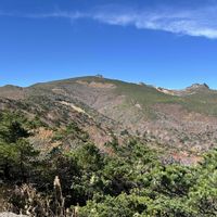 ナナカマド,ヤマハハコ,山野草,＊はじっコの登山花あるき＊の画像