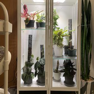 IKEA,観葉植物,温室,プチDIY,IKEA棚の画像