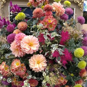 寄せ植え,ガーデニング,日比谷公園,壁掛け,ハンギングの画像