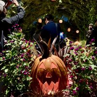 かぼちゃ,ハロウィン カボチャ,横浜イングリッシュガーデン,iPhone撮影,隅っこ暮らしの画像