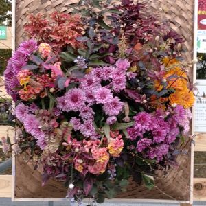 寄せ植え,ガーデニング,日比谷公園,壁掛け,ハンギングの画像