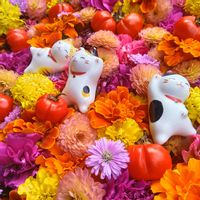 カスミソウ,バラ,ハロウィン仕様,花手水,御井神社の画像