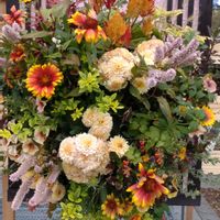 寄せ植え,ガーデニング,日比谷公園,壁掛け,ハンギングの画像