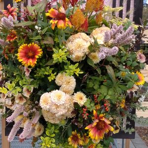 寄せ植え,ガーデニング,日比谷公園,壁掛け,ハンギングの画像