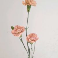 カーネーション,スプレーカーネーション,スプレーカーネーションモカスイート,一人一花,一人一花運動@福岡市の画像