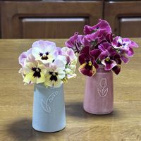 ベランダガーデニング,iPhone撮影,癒し…♡,お花のある暮らし,おうち園芸の画像