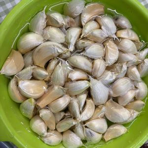 玉ねぎ,ニンニク,ホーム玉ねぎ,発芽,可愛いの画像