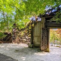 ミツマタ,リンドウ,紅葉,トクサ,青紅葉（あおもみじ）の画像