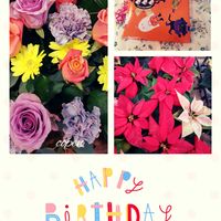 カーネーション,バラ,ポインセチア,お誕生日おめでとう,頑張れ熊本！の画像