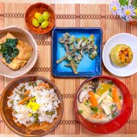 ヨメナ,銀杏,さつまいもの葉,ツワブキ(石蕗),ツワブキ(石蕗)の画像