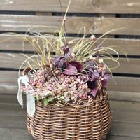 カレックス,アルテルナンテラ,ジュズサンゴ,秋の寄せ植え,寄せ植えの画像