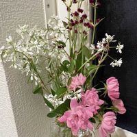 ミニバラ,千日子坊(センニチコボウ）,ユーフォルビア,かわいいな♡,玄関の画像