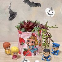 姫秀麗,ハートカズラ斑入り《レディハート》,ハートカズラの 花,ハートカズラの鞘,セロペギア属の画像