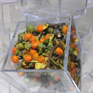 ガーデニング,いけばな,ディスプレイ,草月いけばな展,日本橋高島屋の画像