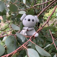 シュウメイギク,ユーカリポポラス,センニチコウラブラブラブ,ハロウィンかぼちゃ,今日のお花の画像