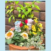 ジニア,ツワブキ,ロニセラ,小菊,ネコノヒゲの画像