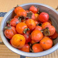 銀杏,カキ,紫蘇の実,ツワブキ(石蕗),柿酢の画像