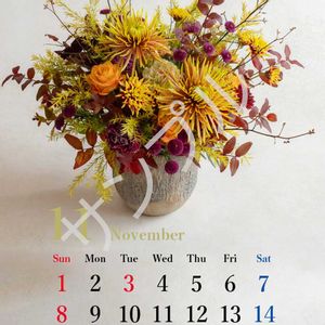 カーネーション,スプレーキク(スプレーマム),バラ、薔薇、ばら,切り花,キク科の画像