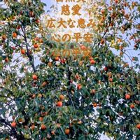 カキ,寄せ植え,ハロウィン,ハッピーハロウィン,今日のお花の画像