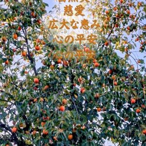 カキ,寄せ植え,ハロウィン,ハッピーハロウィン,今日のお花の画像