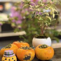 皇帝ダリア,カキ,斑入り ネコノヒゲ,柿,セイヨウイワナンテン(西洋岩南天)の画像