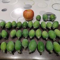 フェイジョア,フェイジョア 実,果物の画像
