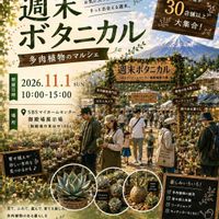 多肉植物,多肉大好き,花のある暮らし,つぶつぶ,お誘いの画像