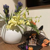 リンドウ,デンファレ,ハイビスカス サマーレッド,花のある暮らし,ハロウィンアレンジの画像