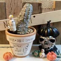 ユーフォルビア アブデルクリ,ユーフォルビア,あっ火曜日,いちごちゃんのピック,ハロウィン月間の画像