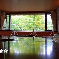 モミジ,モミジ,マクロレンズ,お出かけ先にて,雨の日にの画像