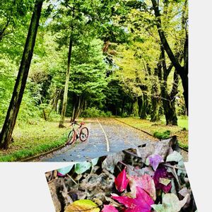 なんだっけ(笑),花のある暮らし,緑のある暮らし,GSに感謝。,平和を願うの画像