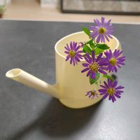 ウインターコスモス,アイビー（ヘデラ）,デンファレ,柊南天（ヒイラギナンテン）,ノコンギク(野紺菊)の画像