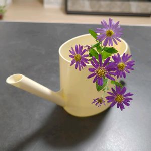 ウインターコスモス,アイビー（ヘデラ）,デンファレ,柊南天（ヒイラギナンテン）,ノコンギク(野紺菊)の画像