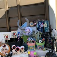 リトープス,ミズヒキ,今日のお花,リトープスの花,キュンキュン乙女倶楽部の画像