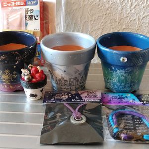 ガーデンリンクフェスタ　戦利品,多肉大好き,多肉中毒,旅行先,多肉多肉多肉の画像