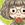 ✯*･☪:.` あたまこな .·˖*✩⡱