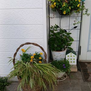 癒し…♡,おでかけ先,玄関アプローチ,庭,その他部屋の画像