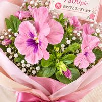 パンジー,いつもありがとう♡,GSのみなさんに感謝♡,復興祈願,キュンキュン乙女倶楽部の画像