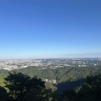 宿根草,多肉植物,ハーブ,我が家の庭,一年草の画像