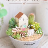 サボテン,サボテン,サボテン寄せ植え,多肉植物 寄せ植え,箱庭の画像
