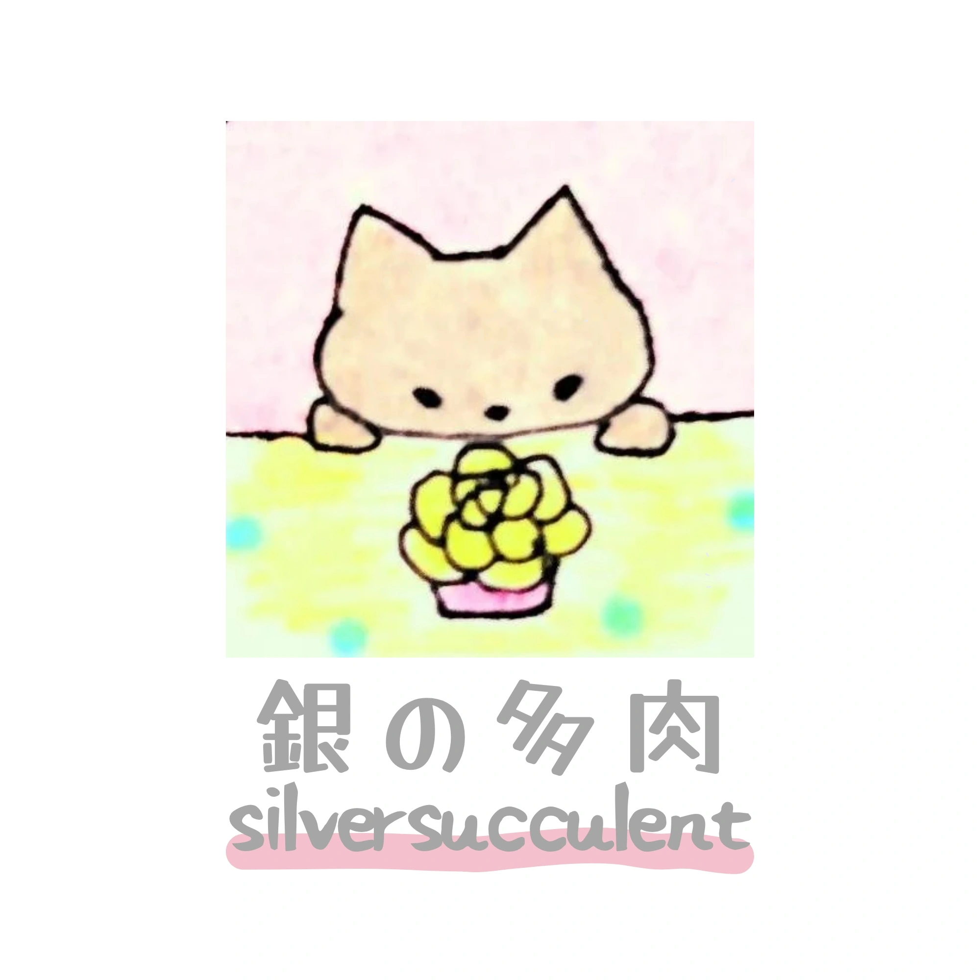 銀の多肉