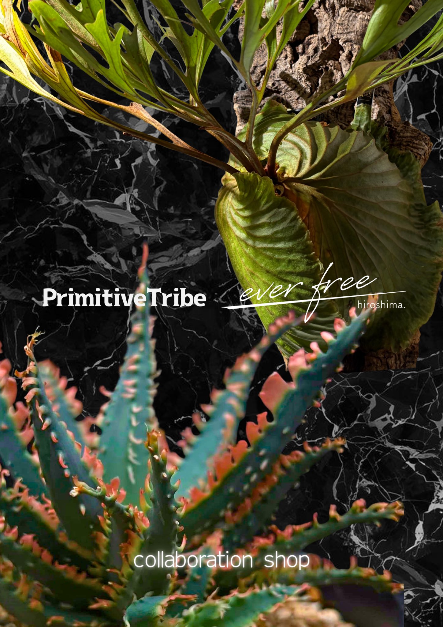Primitive Tribe
