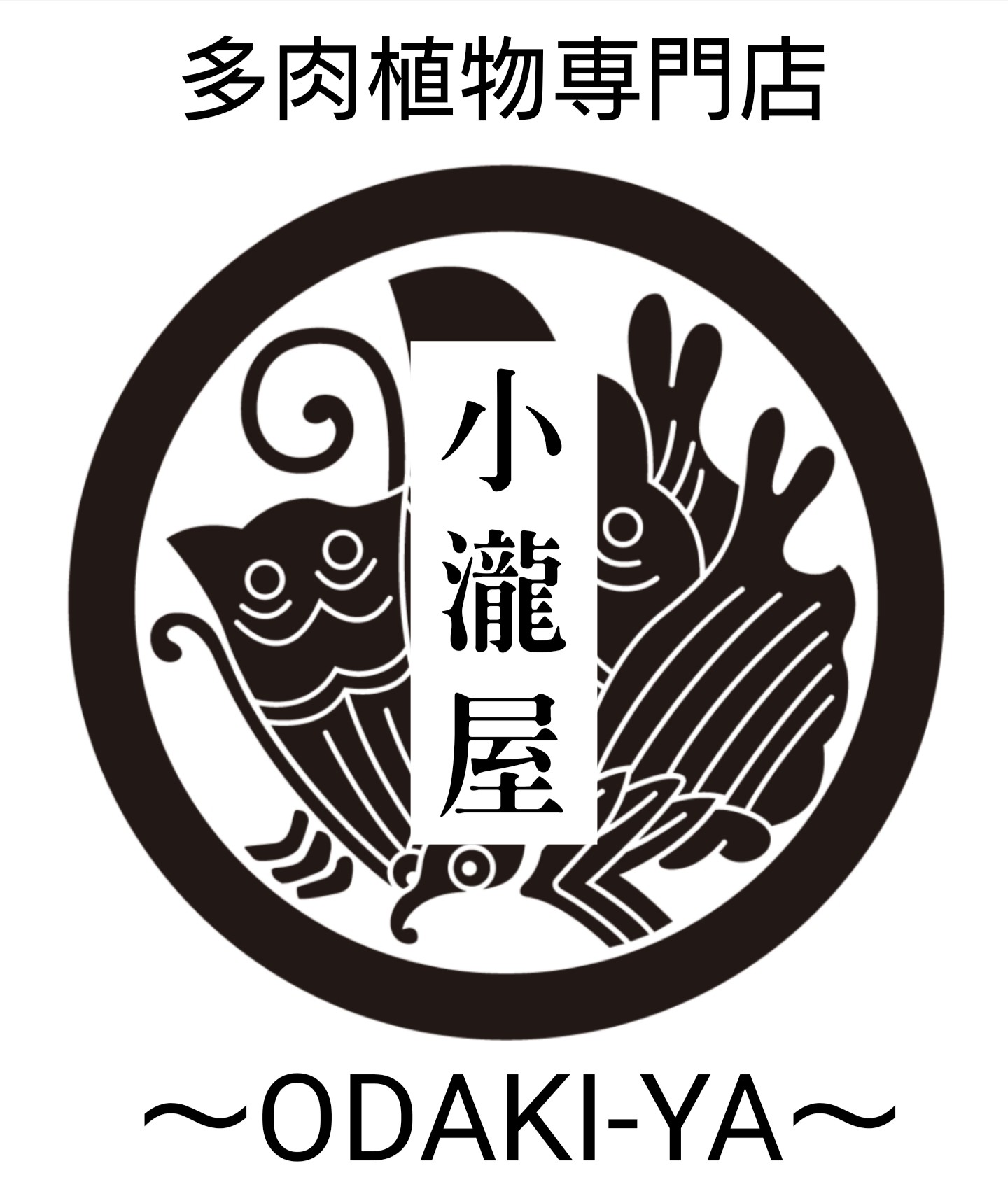 多肉植物専門店　小瀧屋〜ODAKI-YA〜