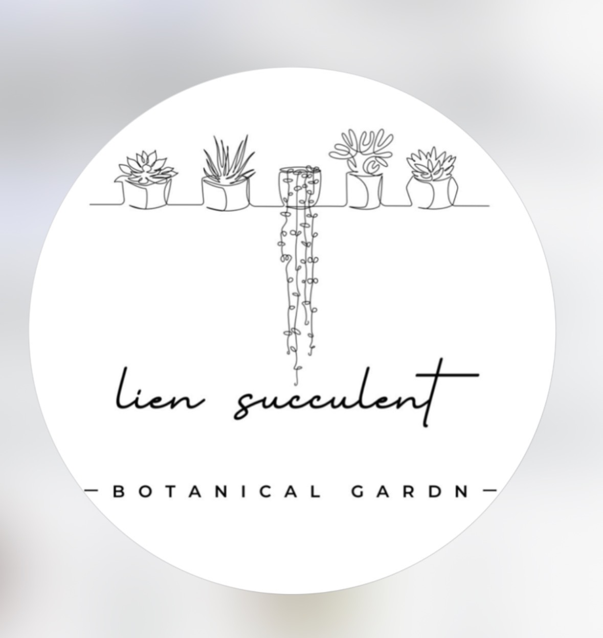 lien succulent