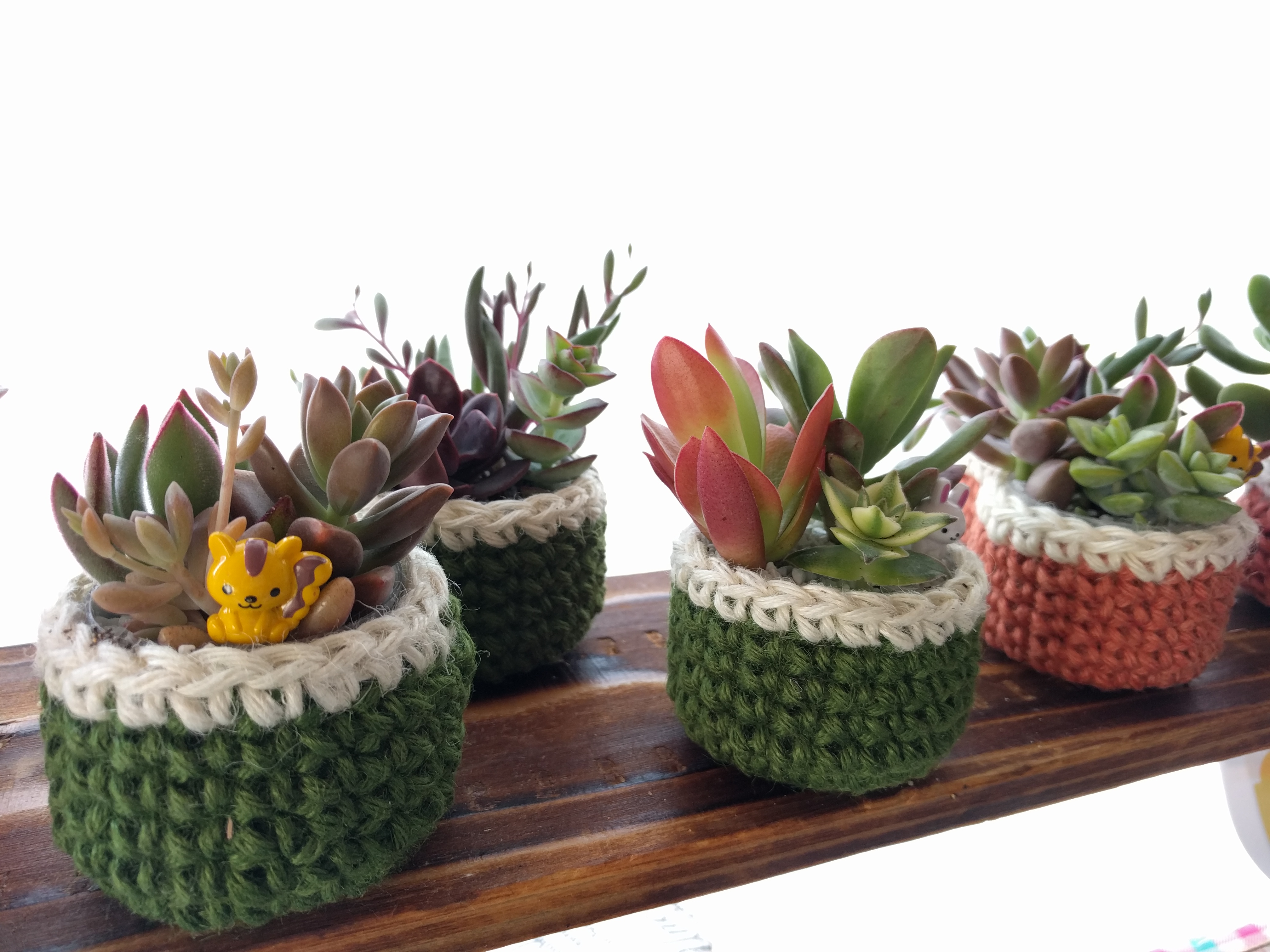 マイグリーンライフ